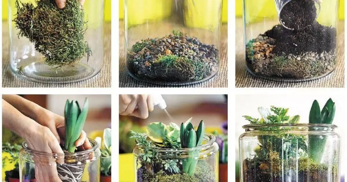 How to Make a Succulent Terrarium